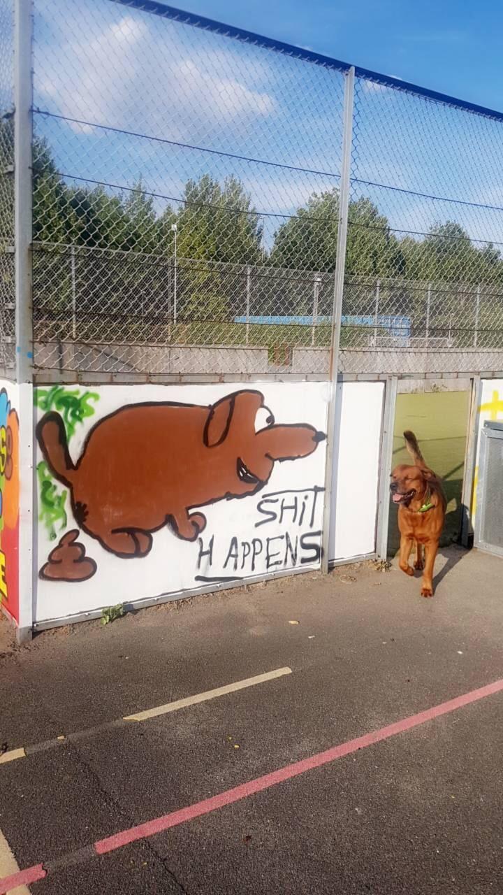 Blanding af racer Arnold Arnolde Nold Nolde billede 9