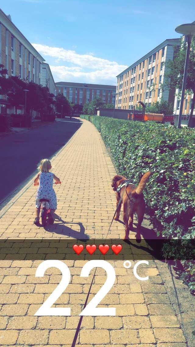 Blanding af racer Arnold Arnolde Nold Nolde billede 13