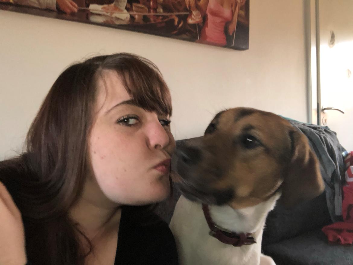 Blanding af racer Chili billede 30