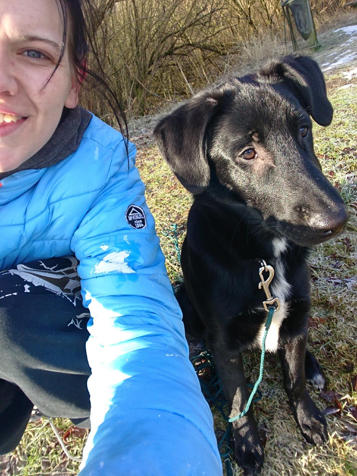 Blanding af racer Jørn  billede 15