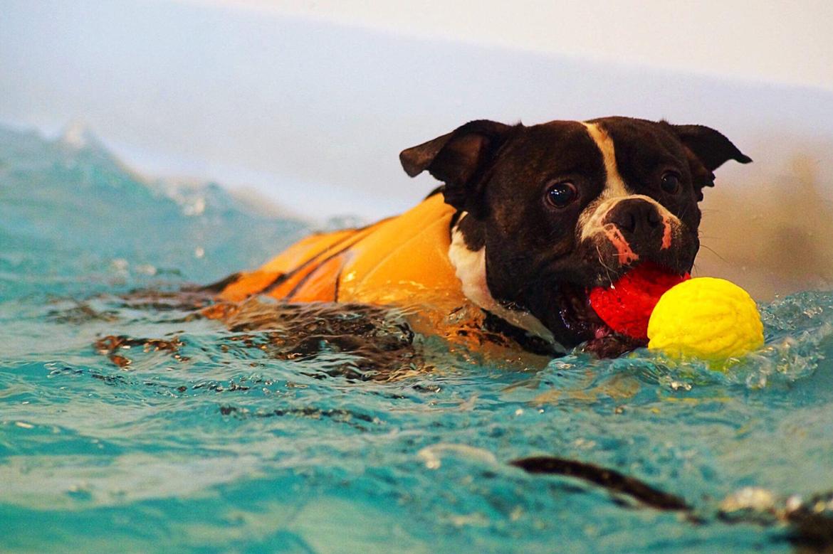 Blanding af racer Mario billede 6