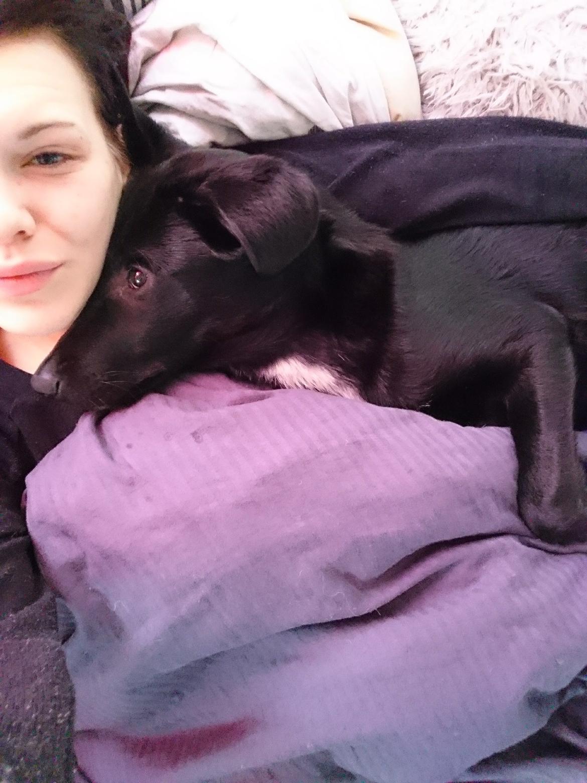 Blanding af racer Jørn  billede 20