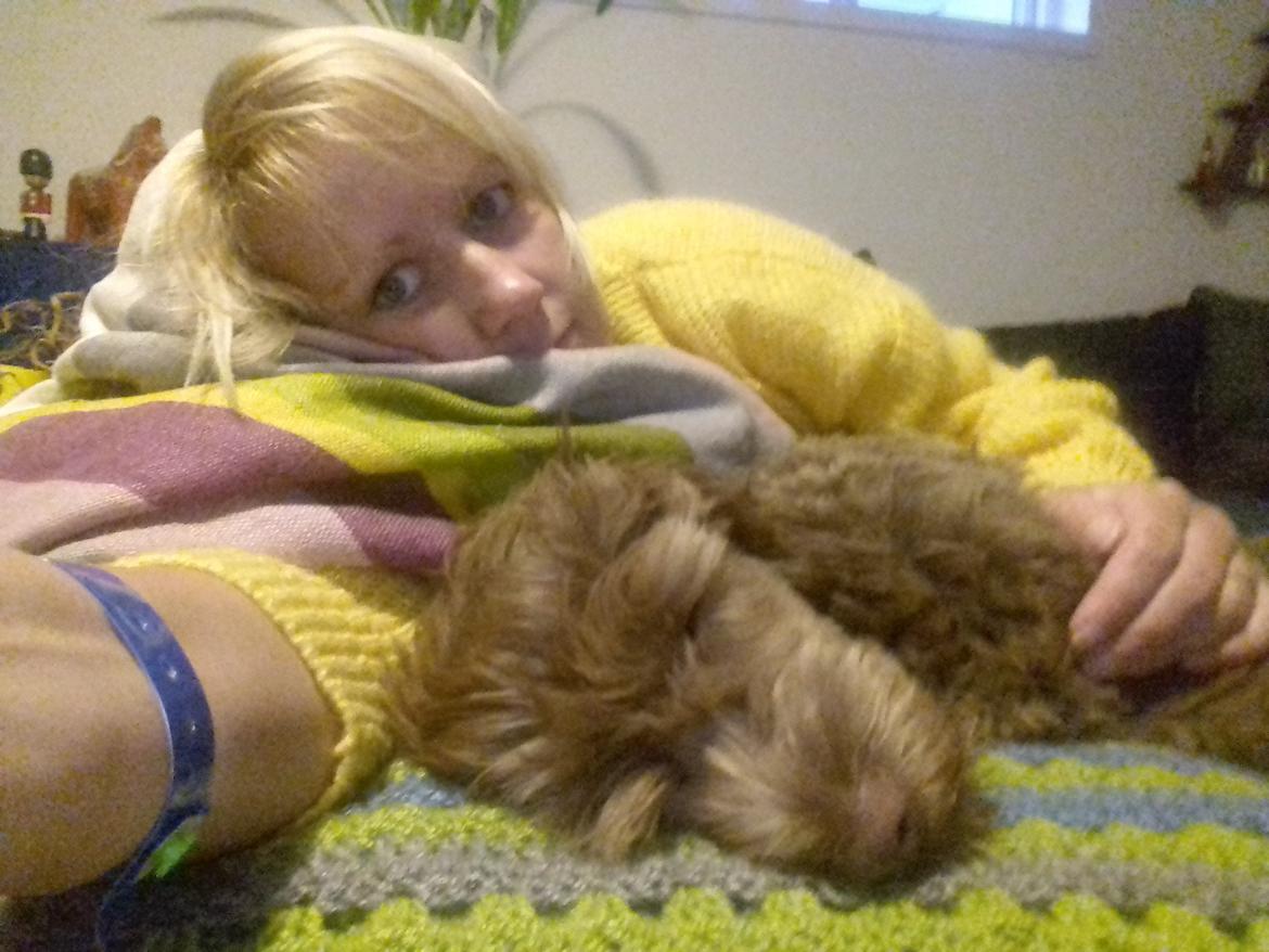 Blanding af racer Terry billede 4