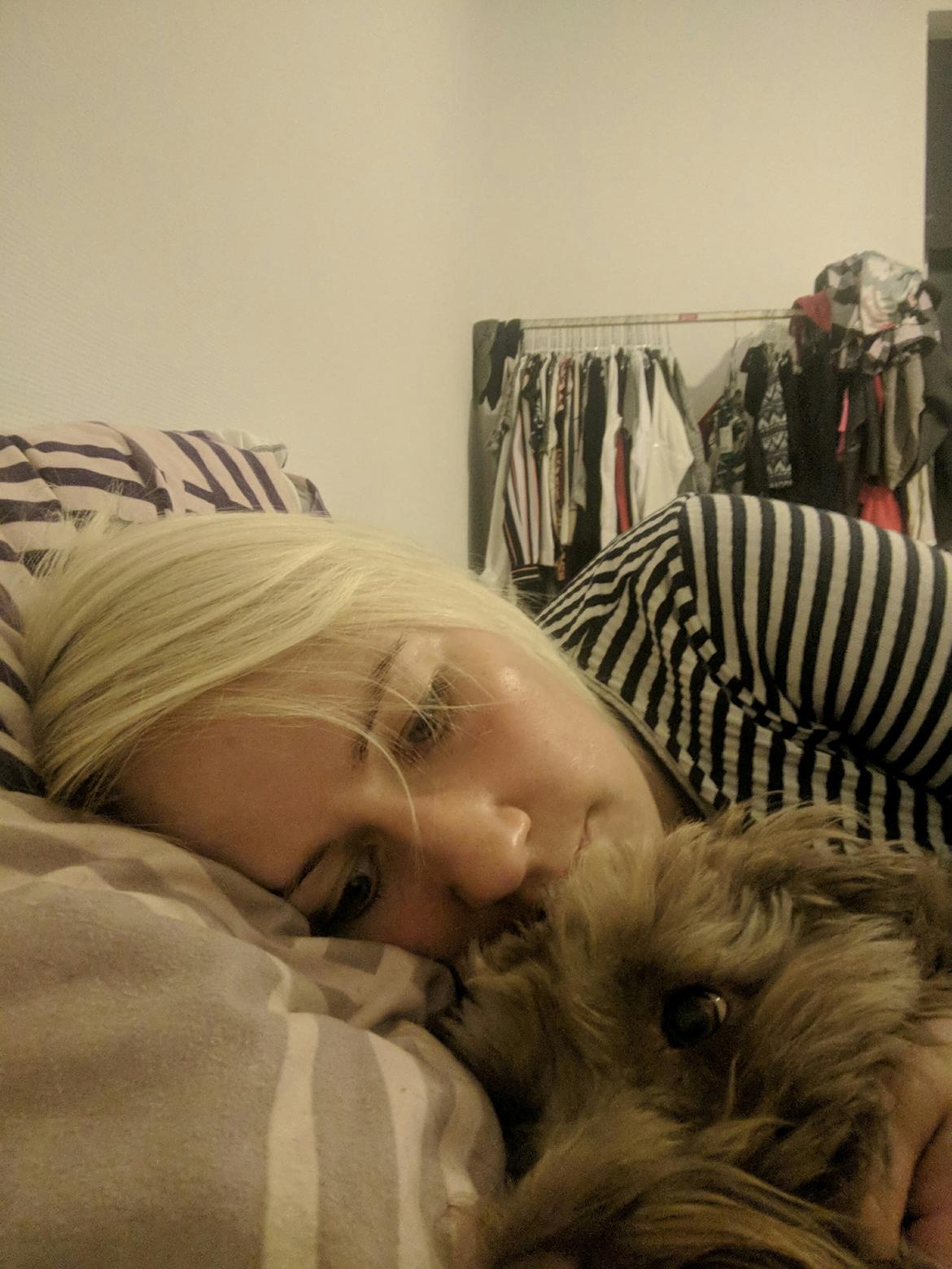 Blanding af racer Terry billede 15