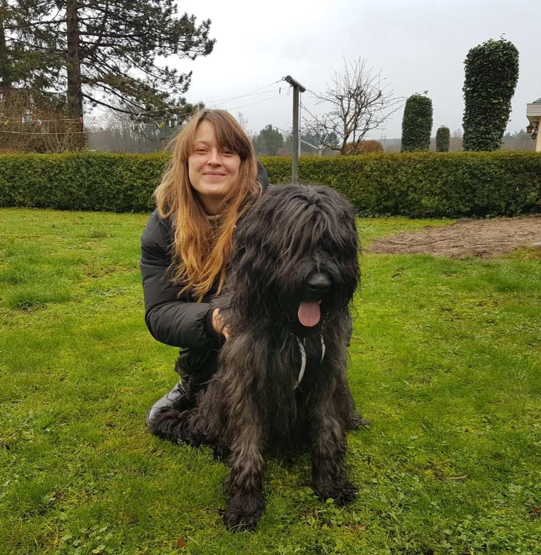 Briard Oline Bel'Truffe Noire billede 1