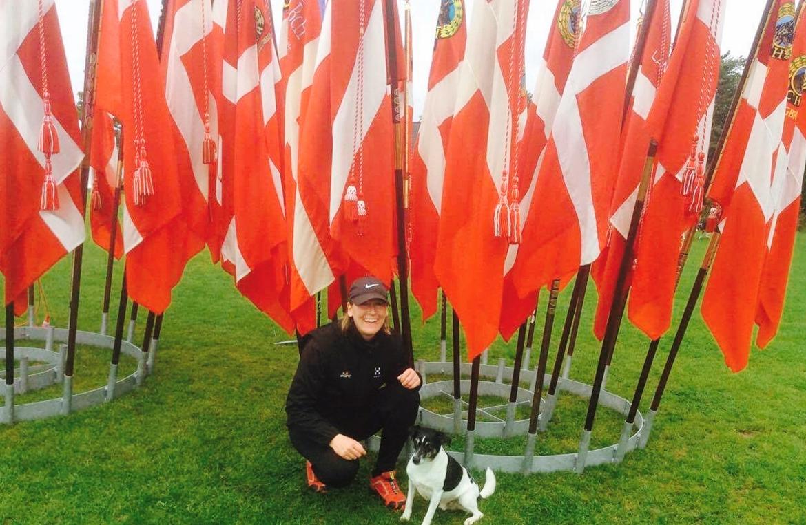 Dansk svensk gaardhund Buster billede 5