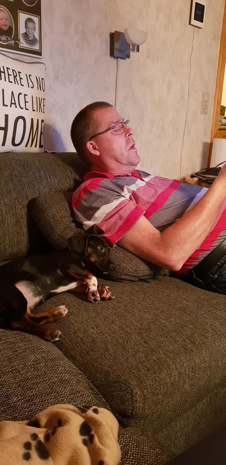 Blanding af racer Suki billede 6