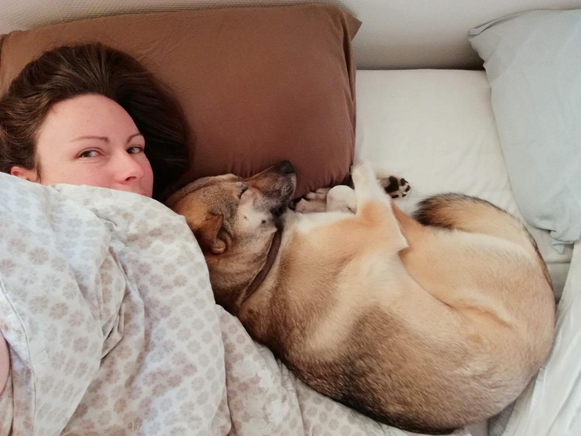 Kishu Hakuzan Ryousou Miyako billede 23