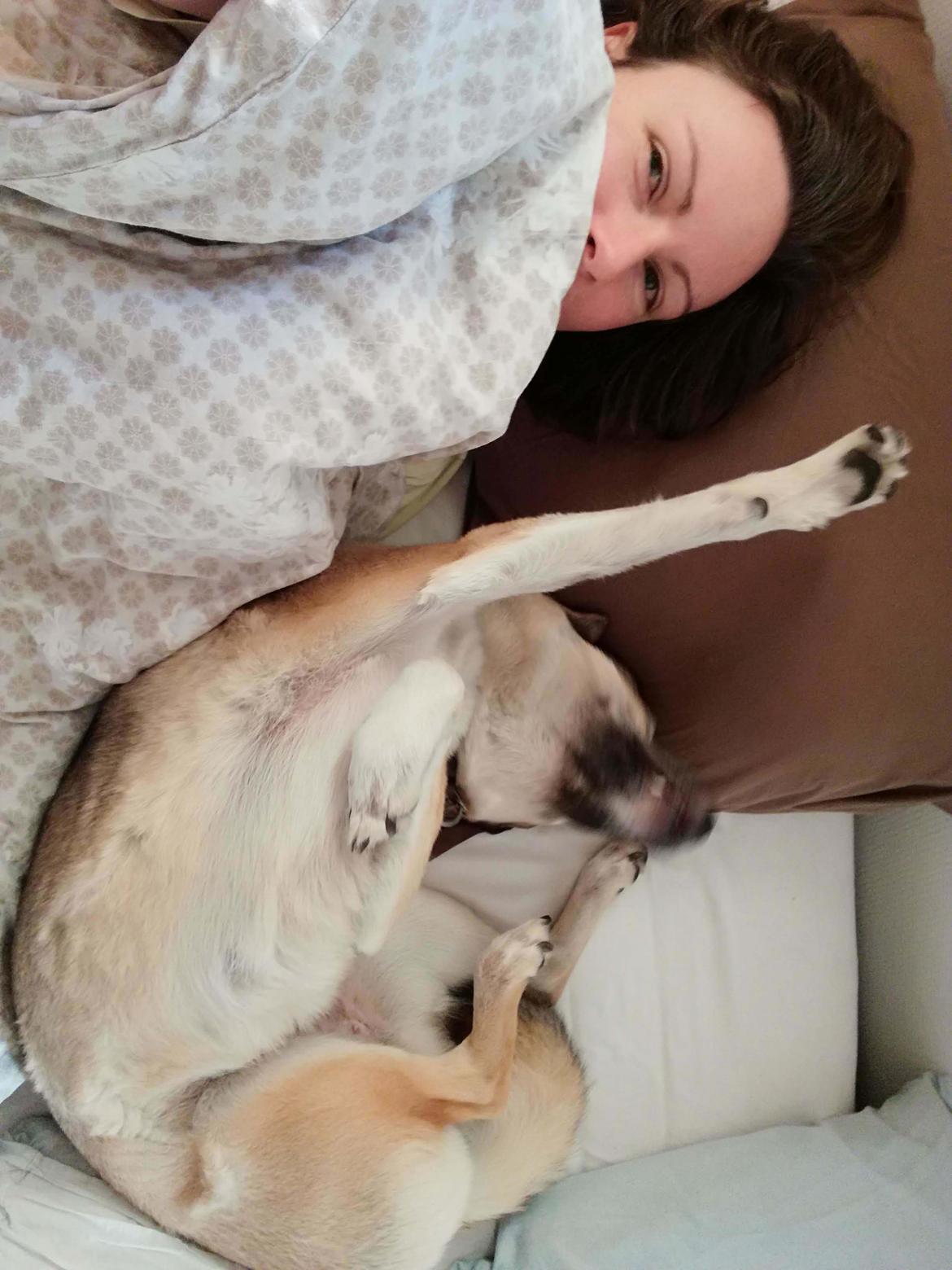 Kishu Hakuzan Ryousou Miyako billede 24