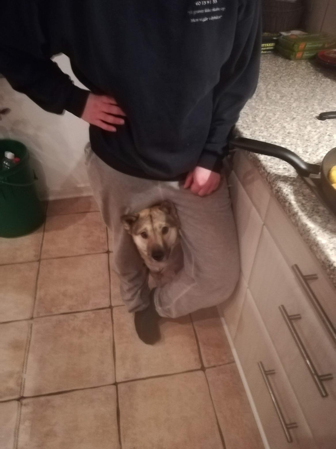 Kishu Hakuzan Ryousou Miyako billede 25