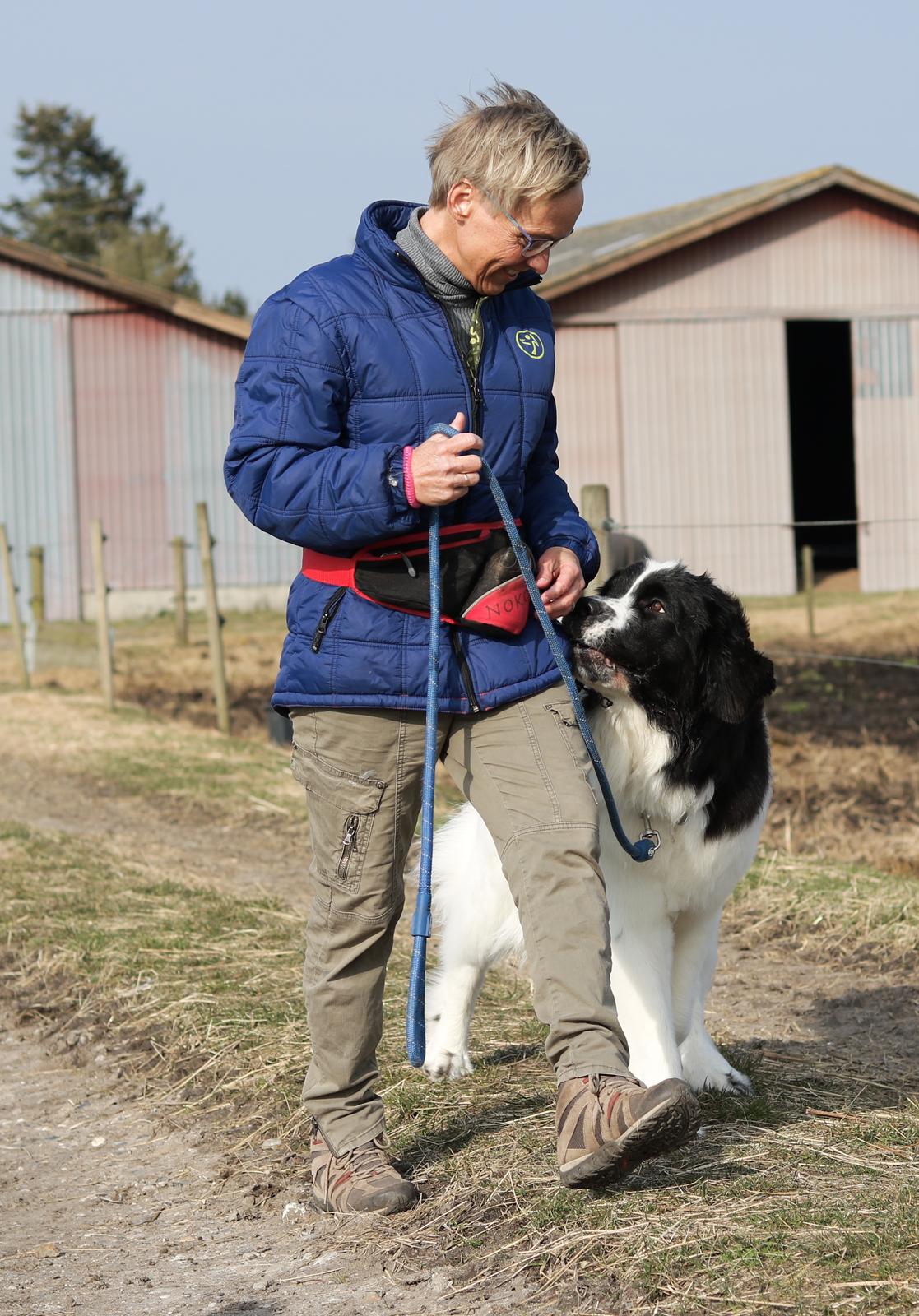 Newfoundlænder Fluffy Avalanch Kaya billede 24