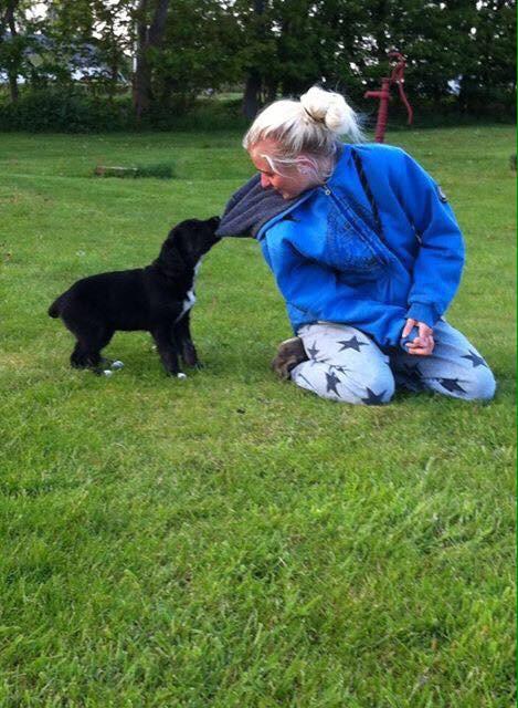 Blanding af racer Ally billede 10