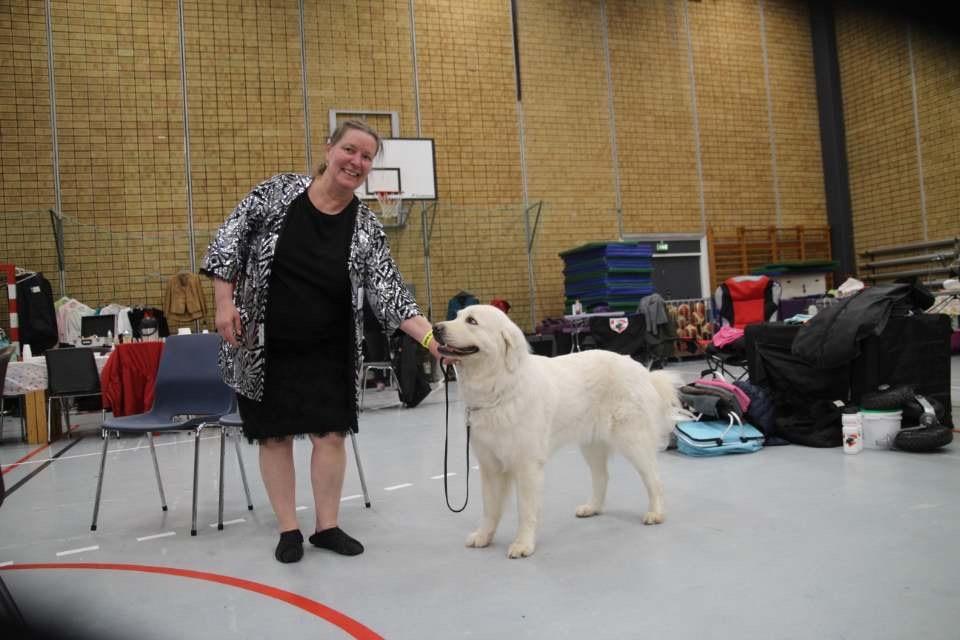 Polski owczarek podhalanski Ludmila Nutrena billede 19