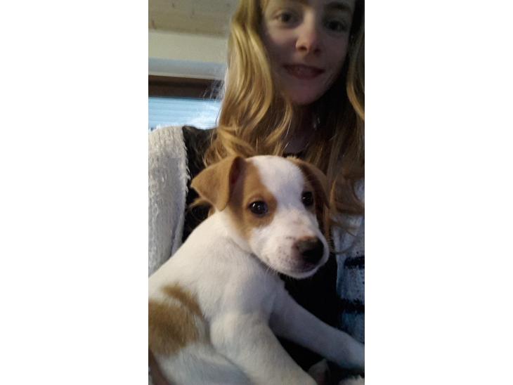 {{currentPhoto.altText}} billede {{currentPhoto.number}}