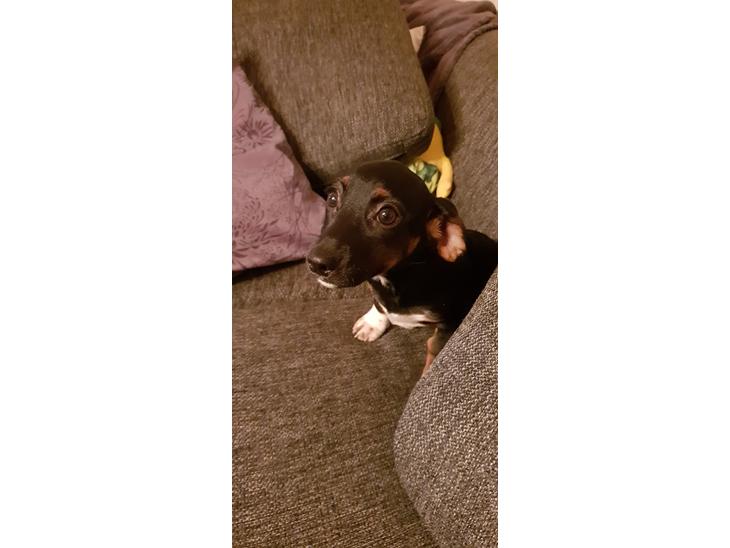 {{currentPhoto.altText}} billede {{currentPhoto.number}}