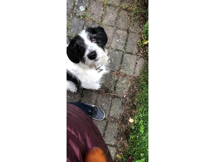 {{currentPhoto.altText}} billede {{currentPhoto.number}}