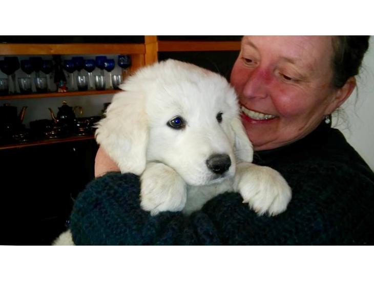 {{currentPhoto.altText}} billede {{currentPhoto.number}}