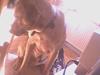 Labrador retriever Thaiger