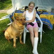 Blanding af racer Tiggie