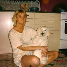 Golden retriever lady