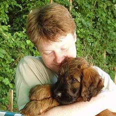 Briard Wilma Victoria