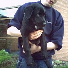 Blanding af racer Malou