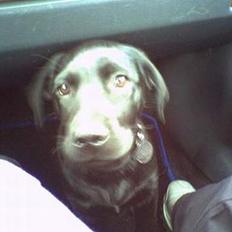 Blanding af racer Malou