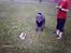 Pekingeser BOBBY