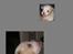 Coton de tulear Valde - Mens vi venter :)