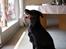 Blanding af racer Tessie - Taget til Mia´s konfirmation 