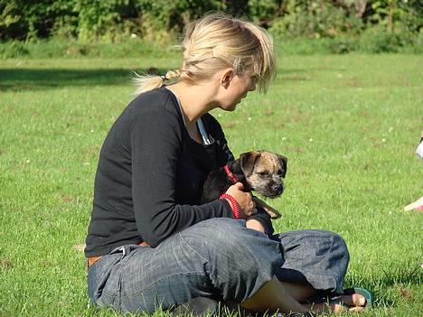Border terrier DKAGCH DKSPCH  "Puma" - Her er jeg med mor til hvalpetræning - vi er ved at øve "rooooolig".. billede 10