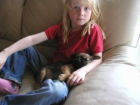 Border terrier Ronja - Mig og Nanna som jeg elsker over alt på jorden billede 6