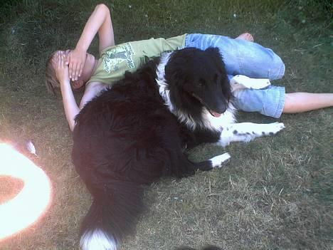 Collie langhåret Bamse - Bamse og Morten <3 Bamse er bare den kærligste hund  ! <´3 billede 1