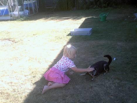 Blanding af racer Lady R.I.P - Nadia prøver at komme i kontakt med Lady  ! hah .! billede 4