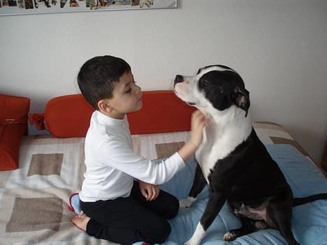 Blanding af racer Samson billede 16