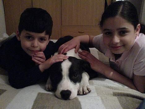 Blanding af racer Samson billede 18