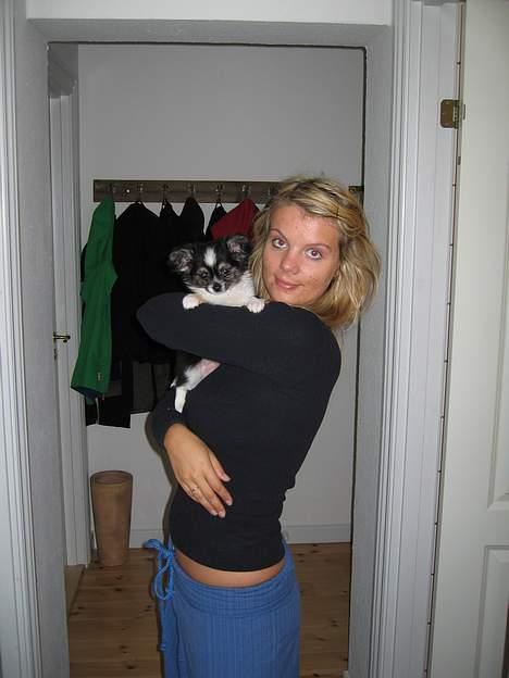 Chihuahua Frans - Mig sammen med min moster Ida billede 4