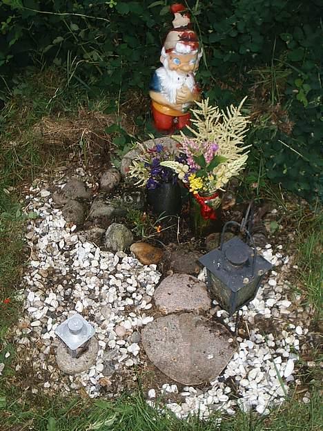 Labrador retriever Teglgaardens Lady *DØD* - Ladys gravsted billede 3