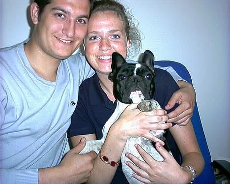 Fransk bulldog Alberte (Bobine's Tammi) billede 7
