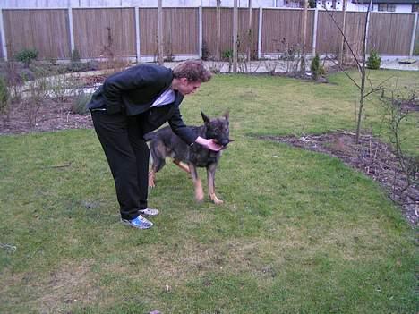 Schæferhund Vuk - Det er skuda mig og vores politihund, Rocco :) billede 9