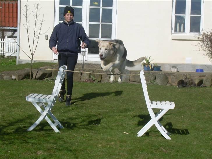 Blanding af racer Zacho..  - påsken år 2008 (; billede 15