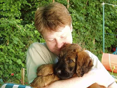 Briard Wilma Victoria - Mig og min nye mor knuser - 8 uger gammel billede 2