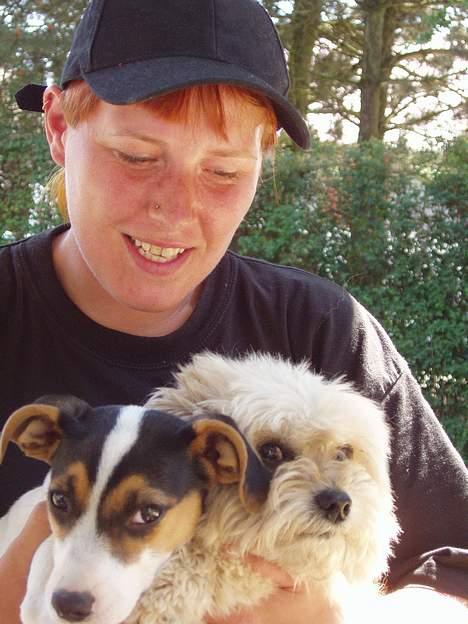 Lhasa apso totte - DØD* - totte og hans nye kammerat ( trold) og mig sammen.. billede 11