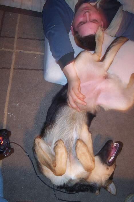 Blanding af racer chika billede 13