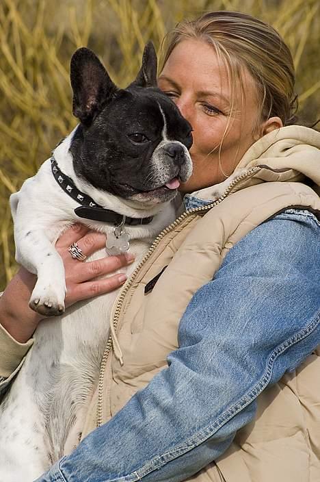 Fransk bulldog Vuck Stinkdyret - www.tosafoto.dk Bvader min mor skal altid kysse mig... føj pigelus.... billede 3
