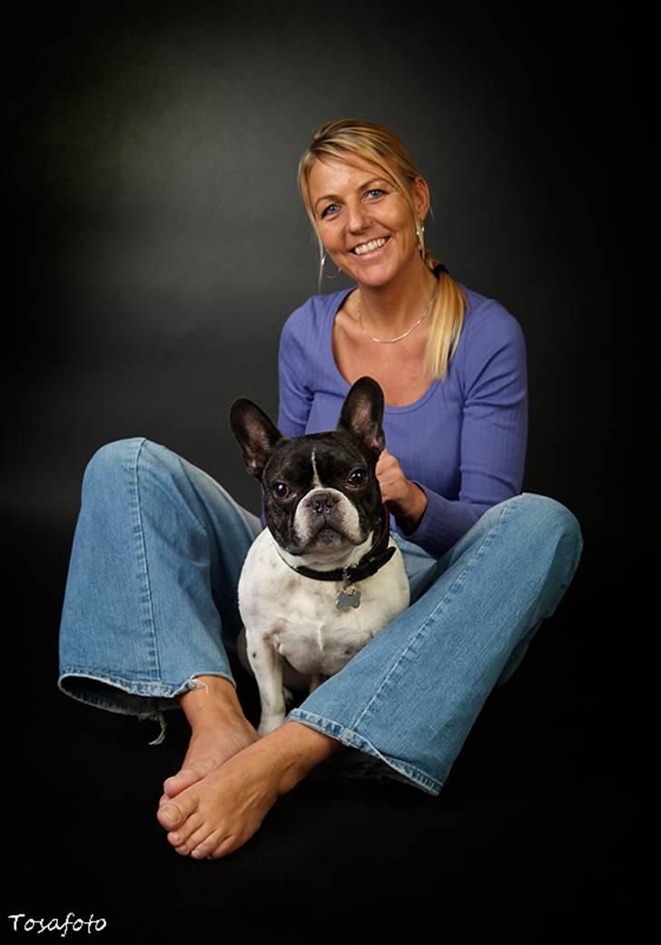 Fransk bulldog Vuck Stinkdyret billede 5