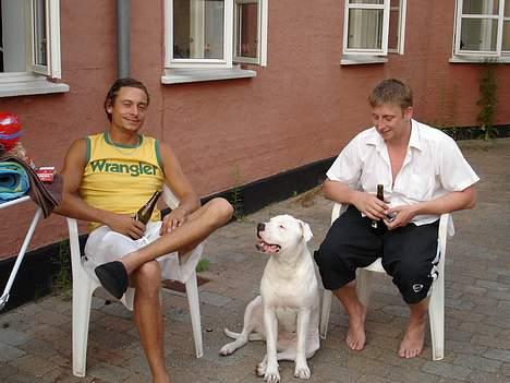 Amerikansk bulldog Nala (Kerteminde) - 2 af mine bedste venner... hehe.. Mor finder sådanne nogle søde drenge til mig.. Grin billede 9