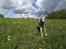 Whippet Didrik