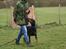 Dobermann Dobergaarden Forever Irish