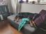 Dobermann Dobergaarden Forever Irish